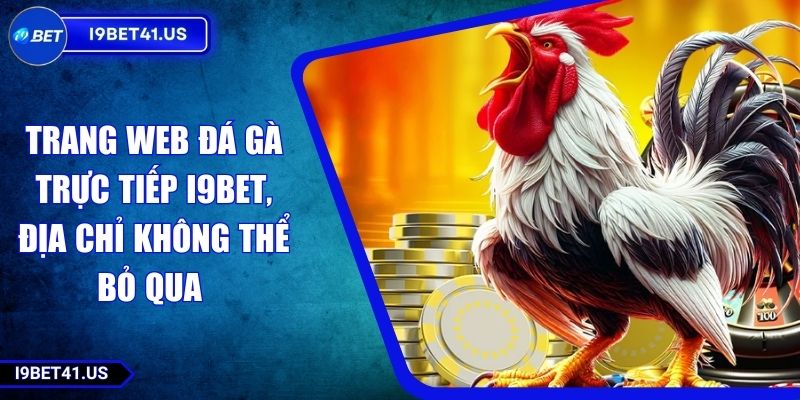 Trang Web Đá Gà Trực Tiếp I9BET, Địa Chỉ Không Thể Bỏ Qua